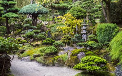 Japanische Gartengestaltung: Harmonie und Ästhetik im Grünen