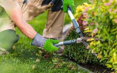 Gartenarbeit im Klimawandel: Wie sich Trockenheit und Extremwetter auf den Garten auswirken