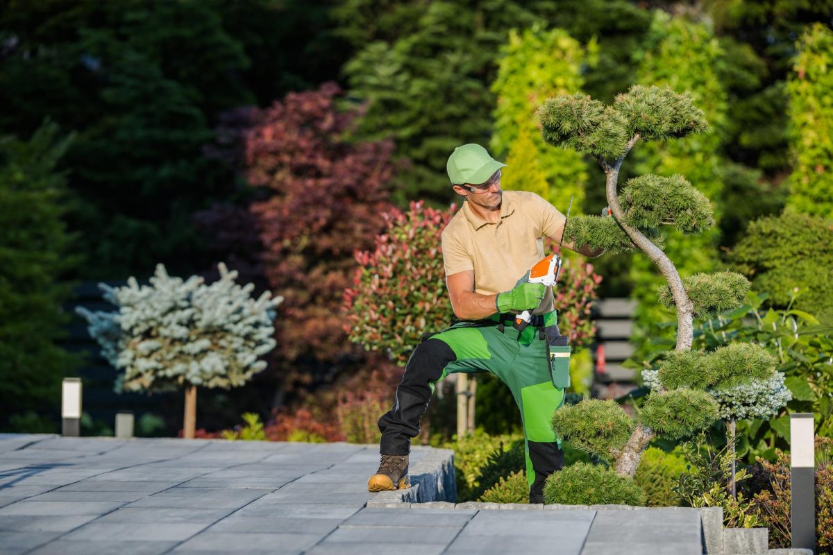 Pflegeleichte Gartengestaltung