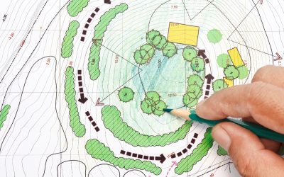 Klimagerechte Gartenplanung: Wildpflanzungen und “Schwammgarten” als Antwort auf Hitze und Starkregen