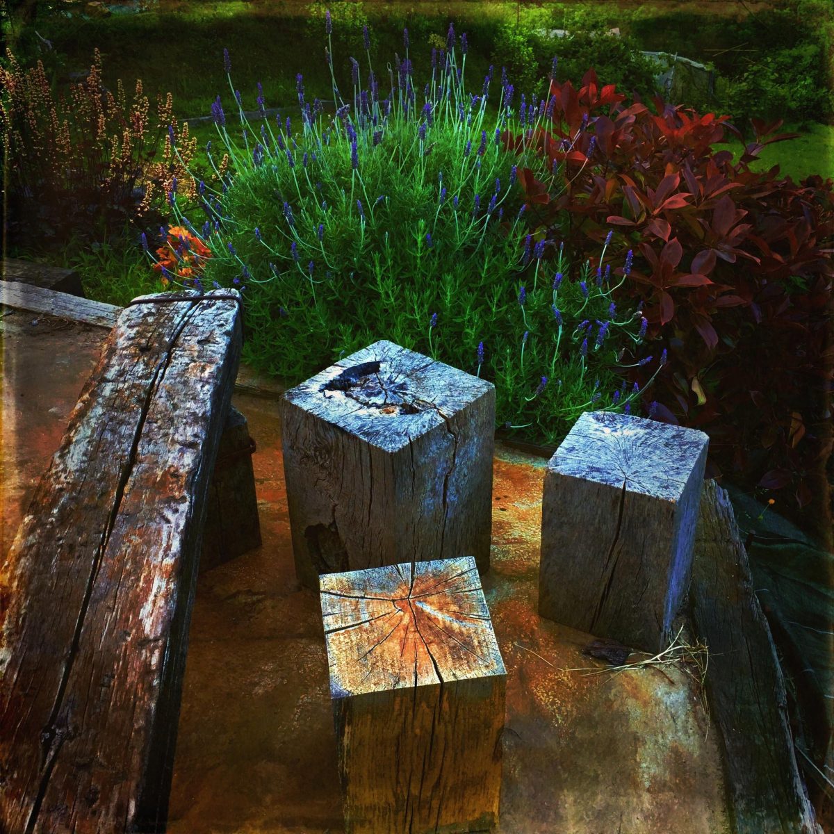 Biophiles Gartendesign