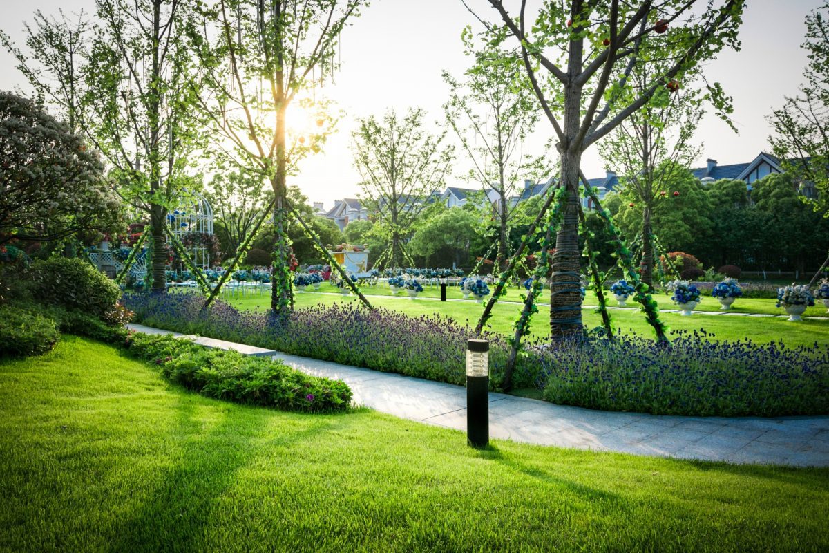 Garten nach Neubau